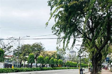 cenro cebu city|CCENRO lobbies more rules for earth.